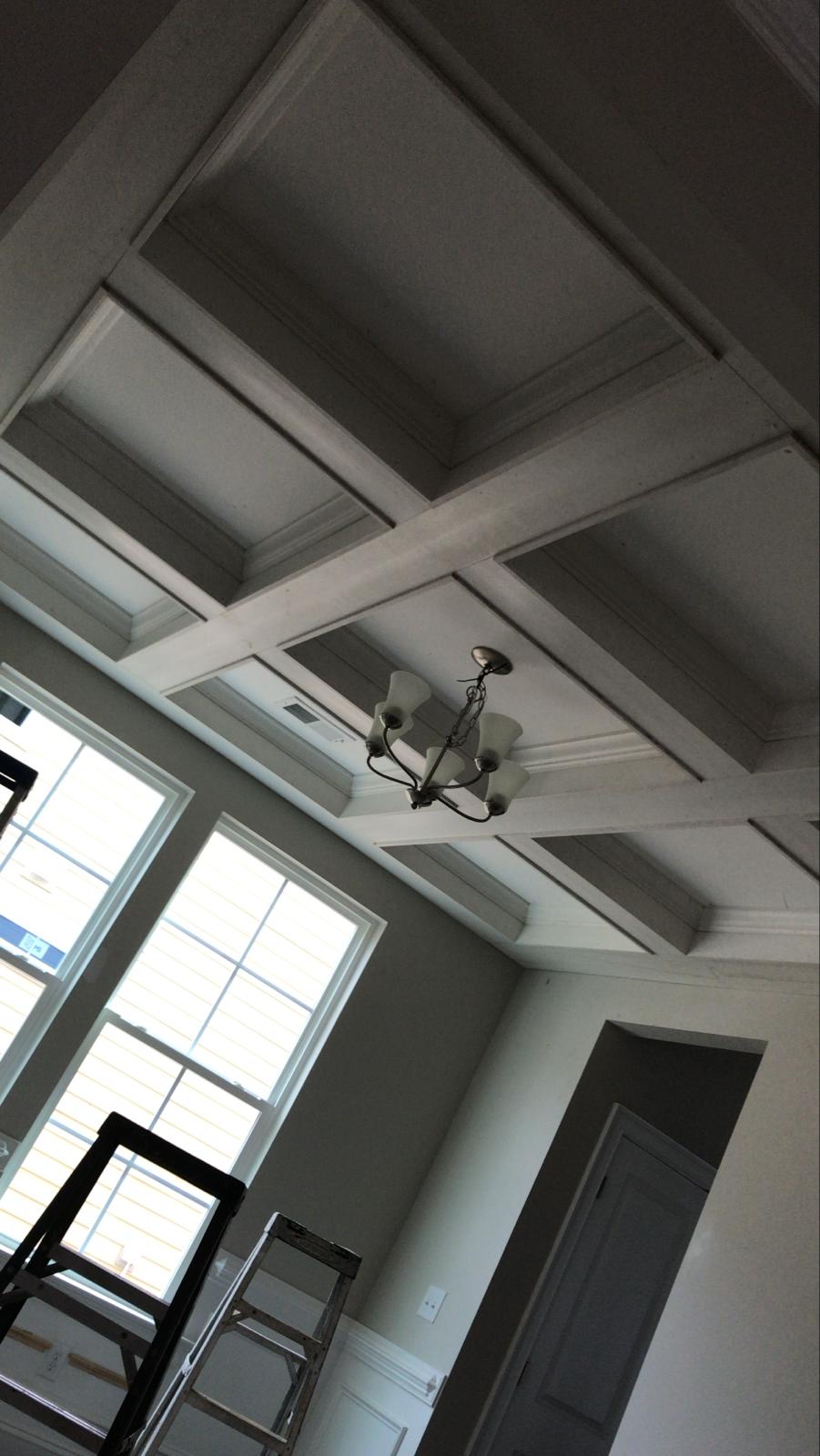 Coffered ceiling 1 - Projeto Bruno